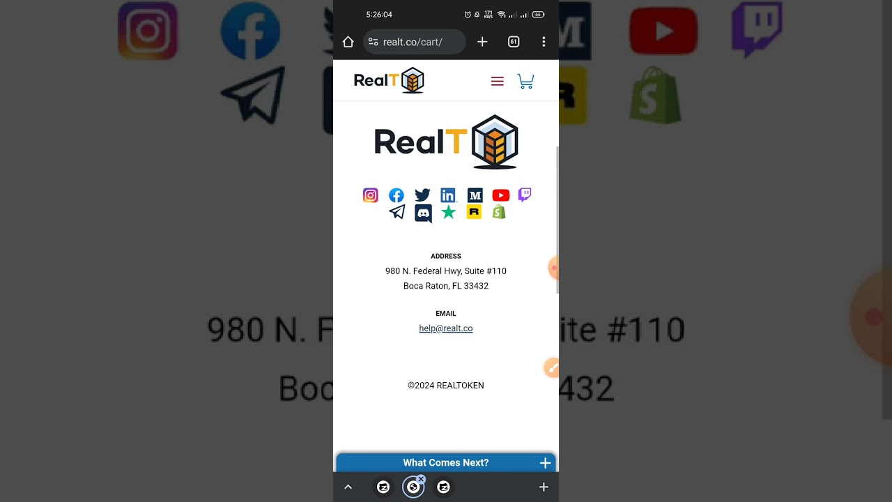 RealToken DAO is a most powerful and very well managed project so don't miss it