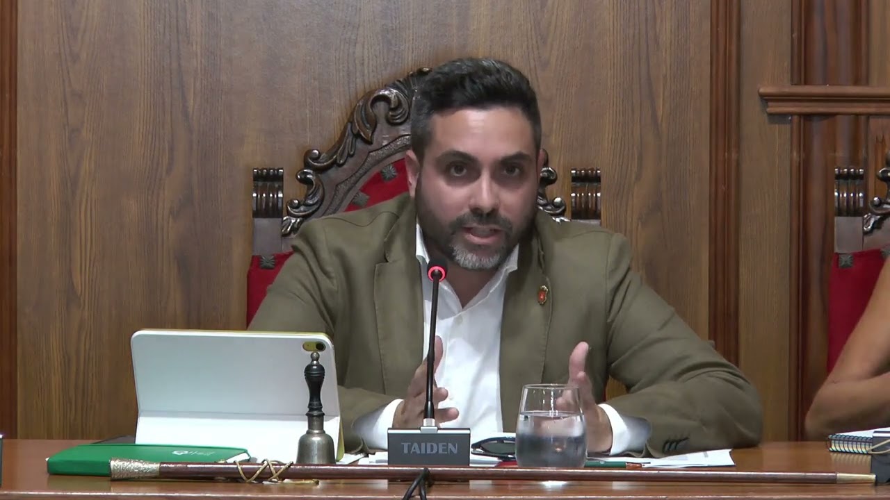 PLENO ORDINARIO 15-09-2025