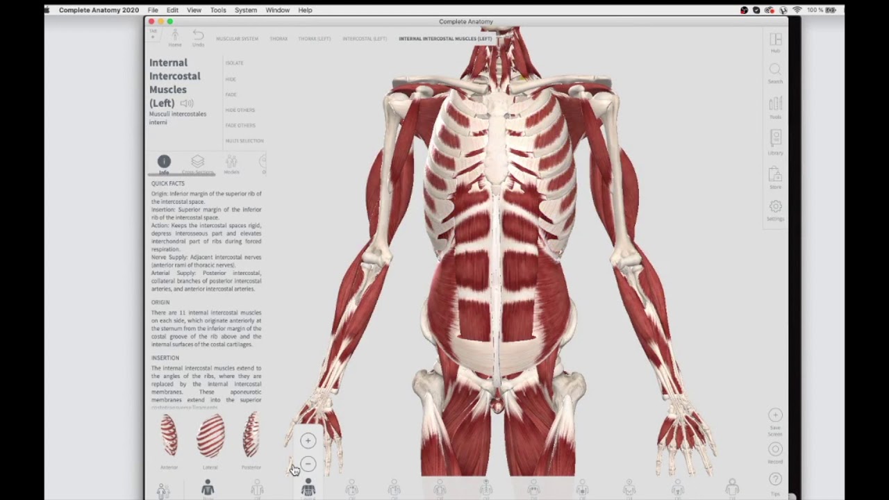 ANJANEYASANA - ANALÍSIS DE LA POSTURA