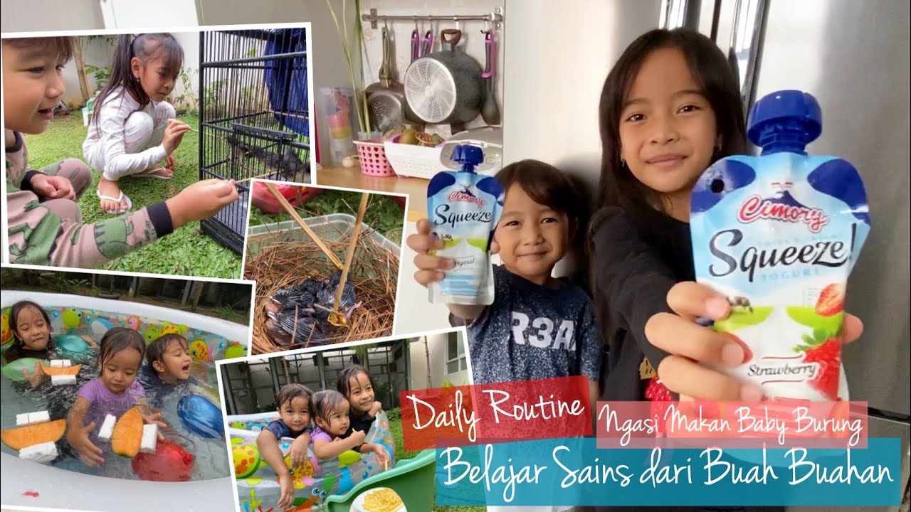 HOMESCHOOL LIFE | Makan Sehat hingga Belajar Sains dari Buah | feat Cimory Yoghurt Squeeze