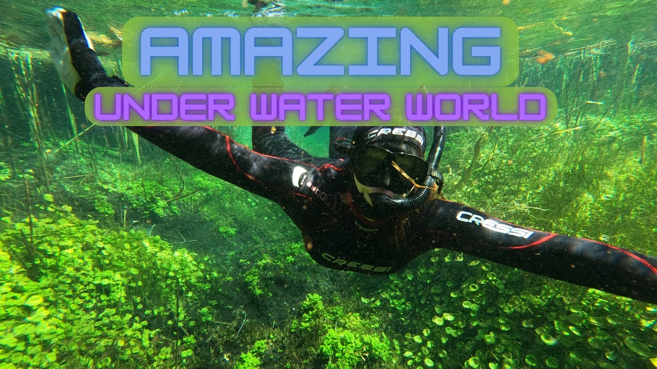 INLAND SNORKLING in South Australia - EWEN PONDS - AN AMAZING HIDDEN UNDER WATER WORLD!!