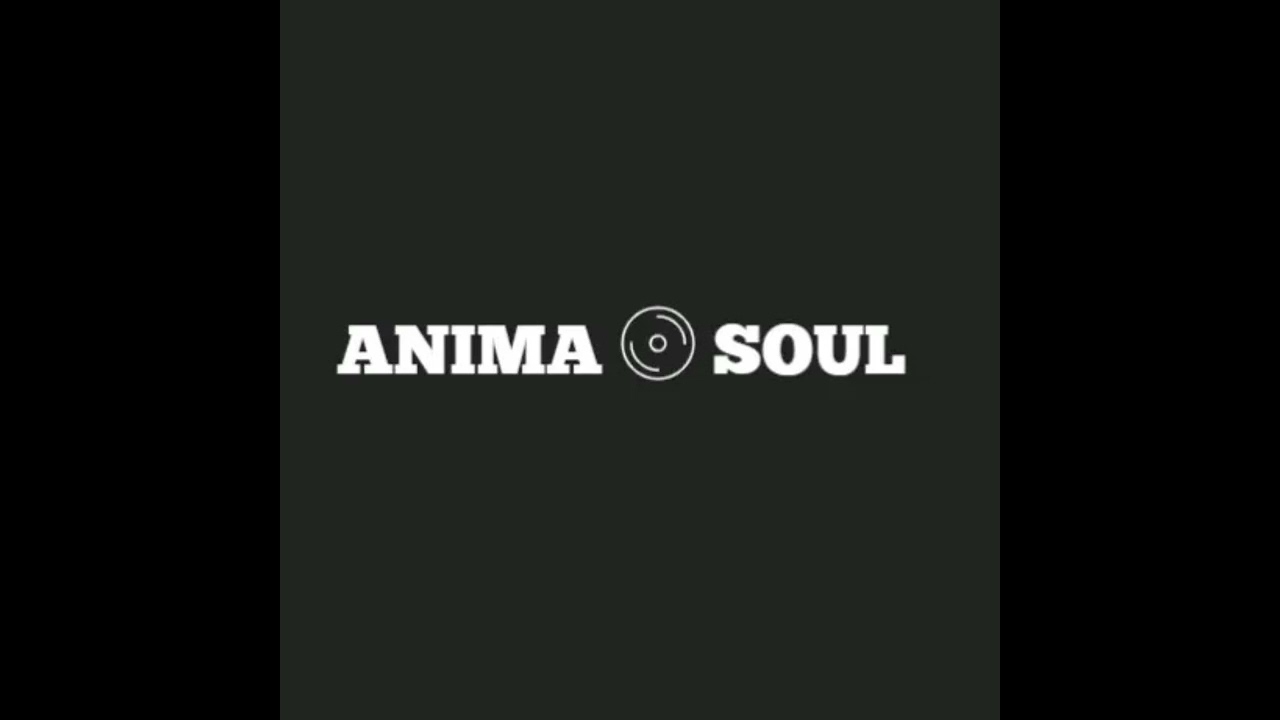 Anima Soul - My Friends From The Sky