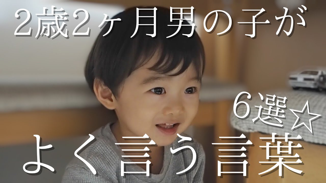 2歳の男の子がこんなに喋れると思わなかった！ママとどのくらい話せる？【2歳2ヶ月】