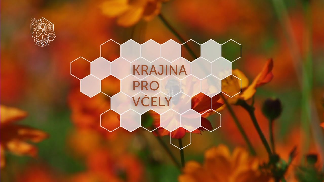 Krajina pro včely