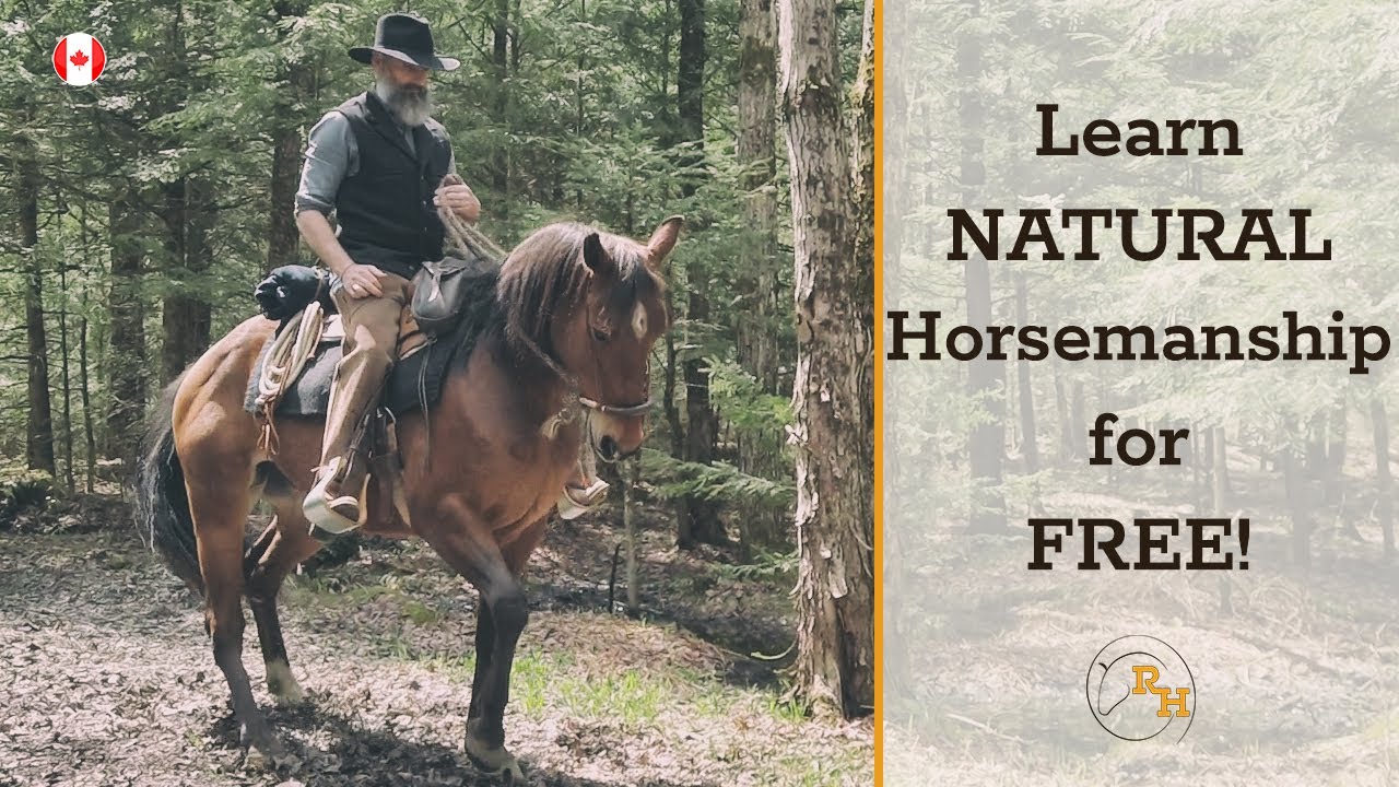 Introduction to RH Natural Horsemanship Program