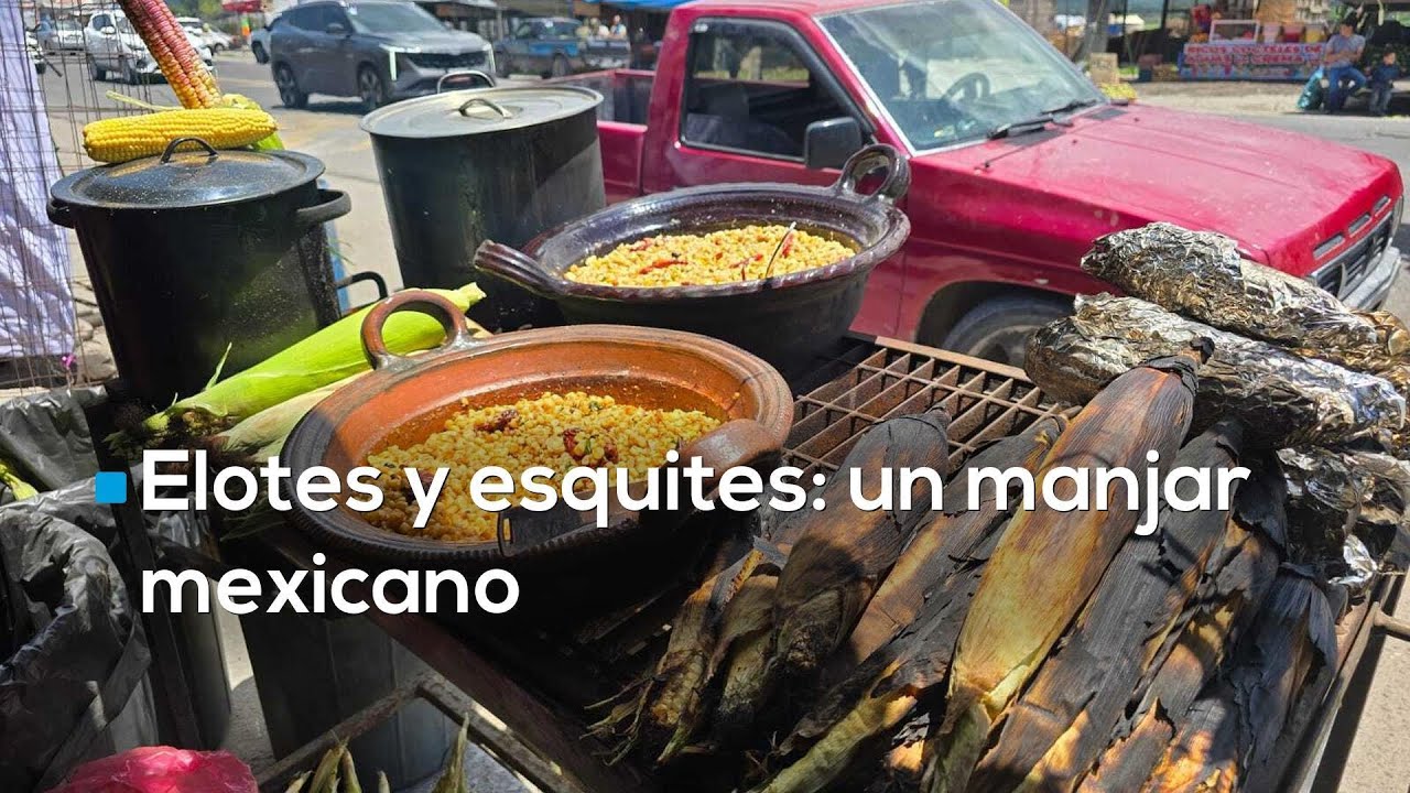 #MiQuerétaroLindo | Por más de 20 años, estos elotes y esquites han deleitado el paladar queretano