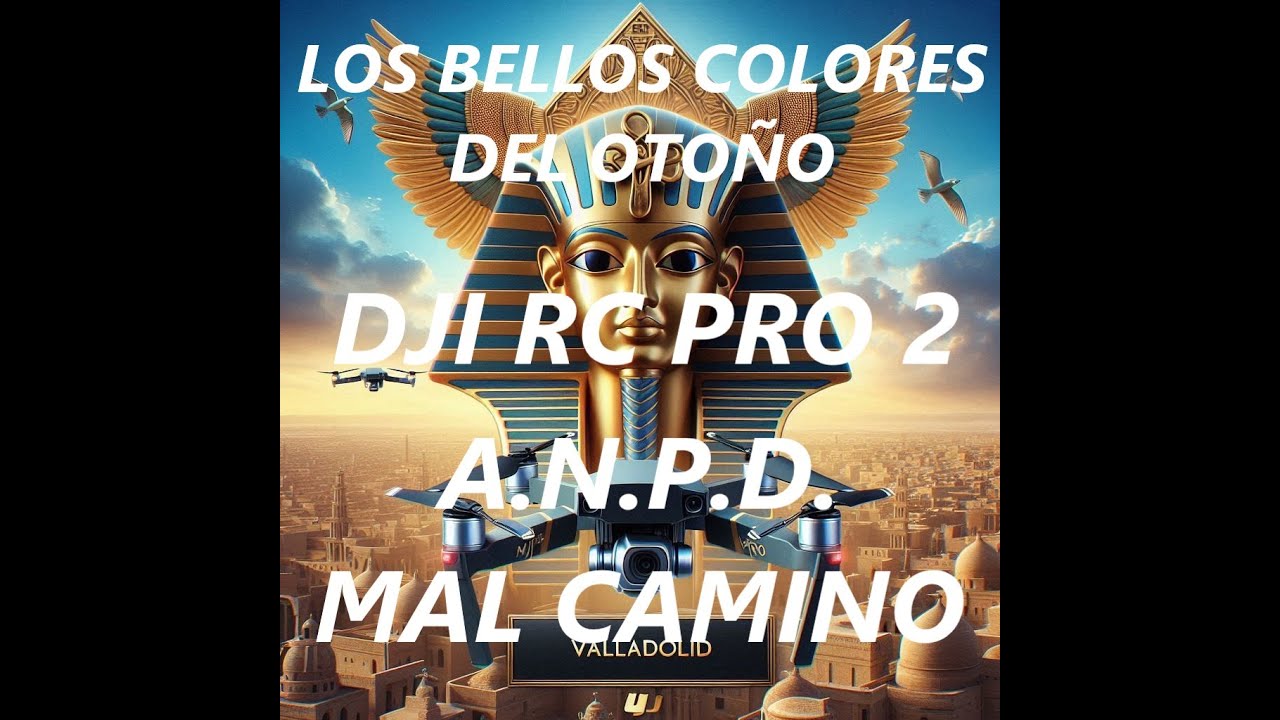 DJI AIR 3 S – LOS BELLOS COLORES DEL OTOÑO – A.N.P.D. – RC PRO 2, IMPRESIONES – ZOOM DEL DJI AIR 3 S