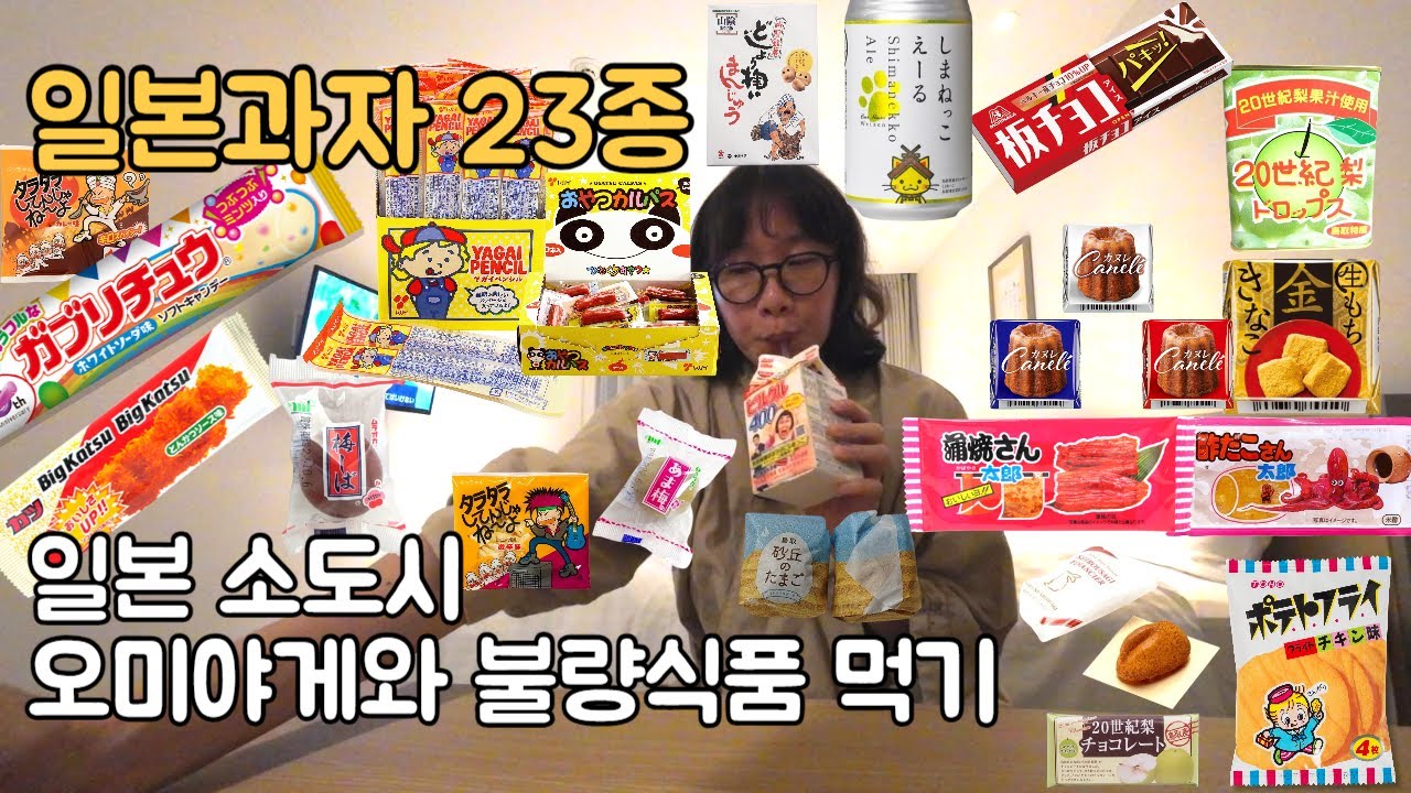 일본과자와 특산품 23종을 먹어보다 (돗토리 ep10)