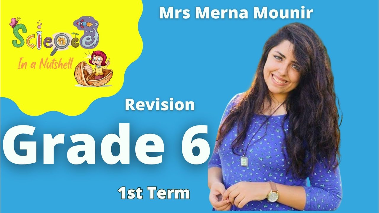 Revision Concept 1.1 -Grade 6 - 1st term -