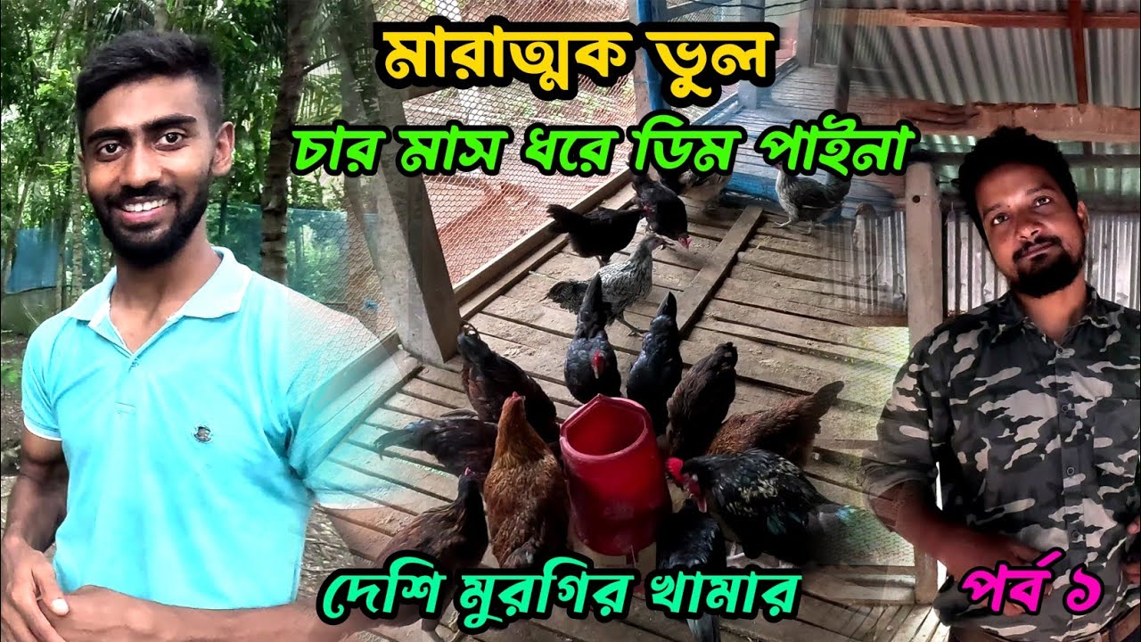 মারাত্মক ভুল চার মাস ধরে ডিম পাইনা দেশি মুরগির খামার #shakilfarming #দেশিমুরগি