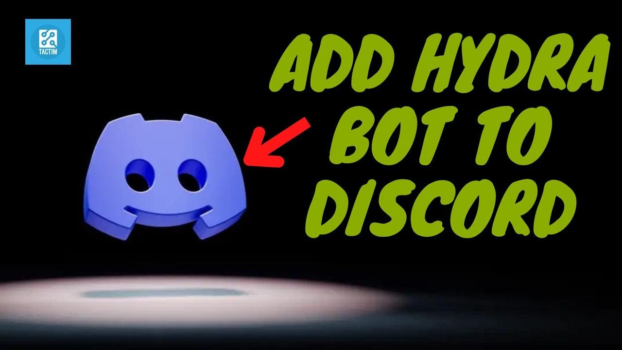 Hydra Bot 2025 SETUP Guide - How to Invite, Play Music, & Setup Channels
