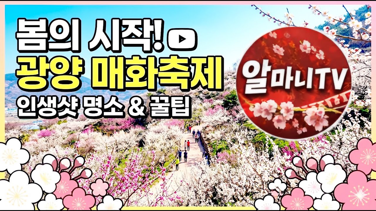 #10일차#광양#매화#봄꽃#유튜브#축제장소# 축제#품바#각설이#북#장구#난타