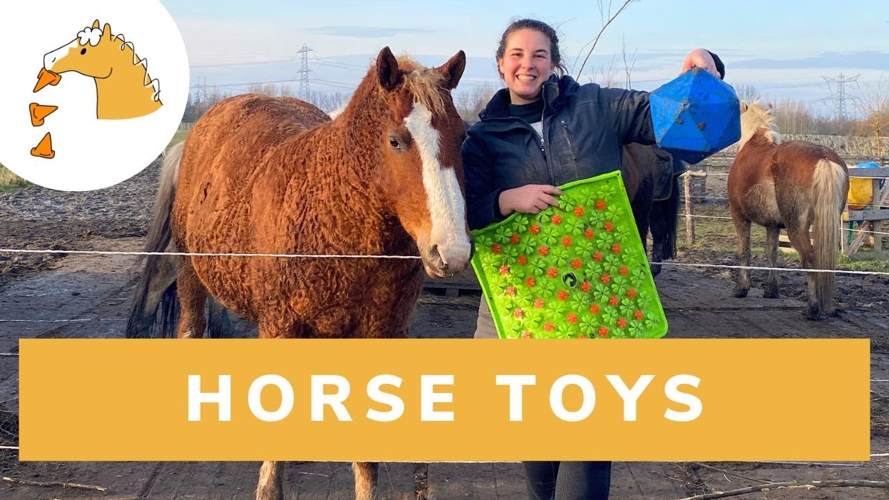 How To BRAINGAMES | Happy Horsemanship