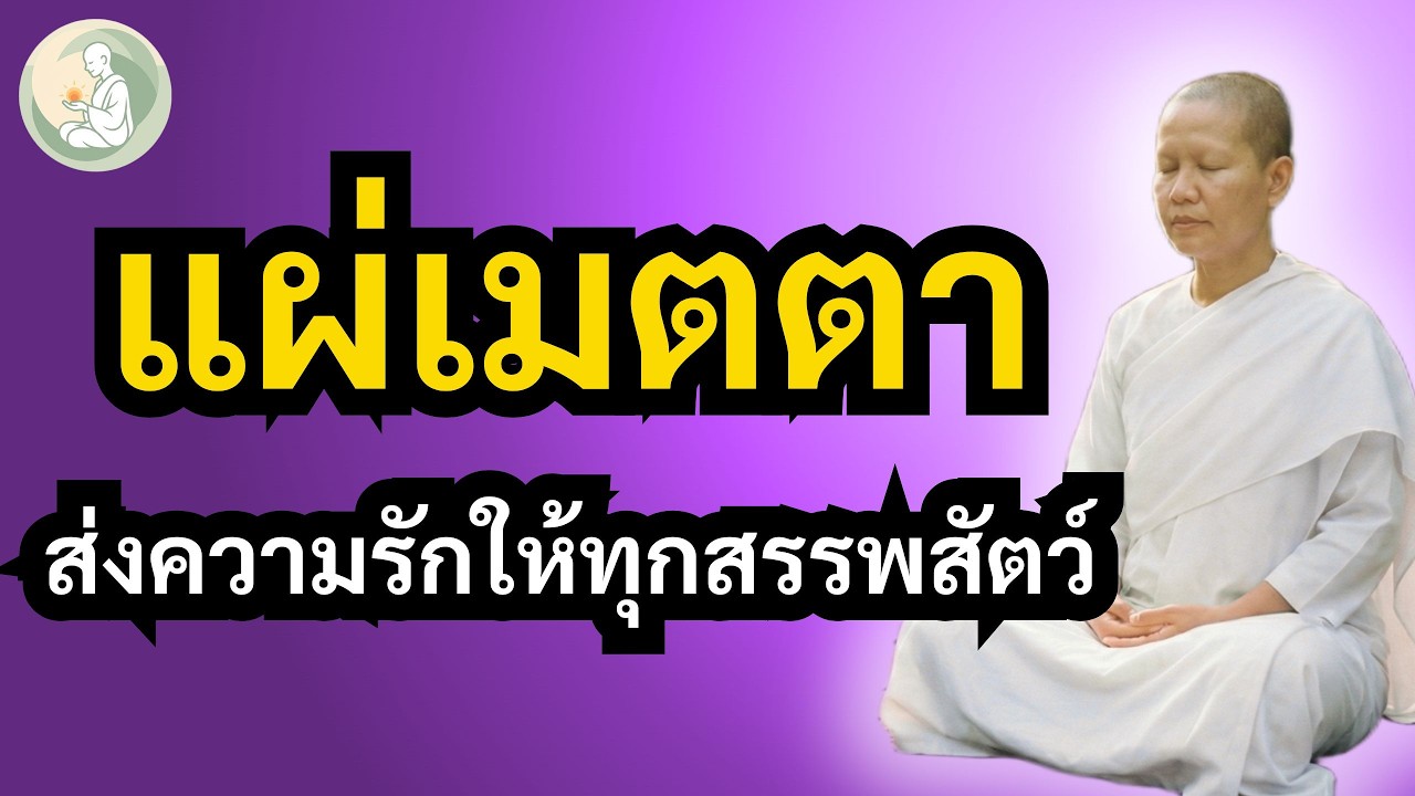 แผ่เมตตาก่อนนอน 🌙 ปล่อยวางความทุกข์ ส่งความรักให้ตัวเองและทุกชีวิต  | พักใจกับแม่ชี