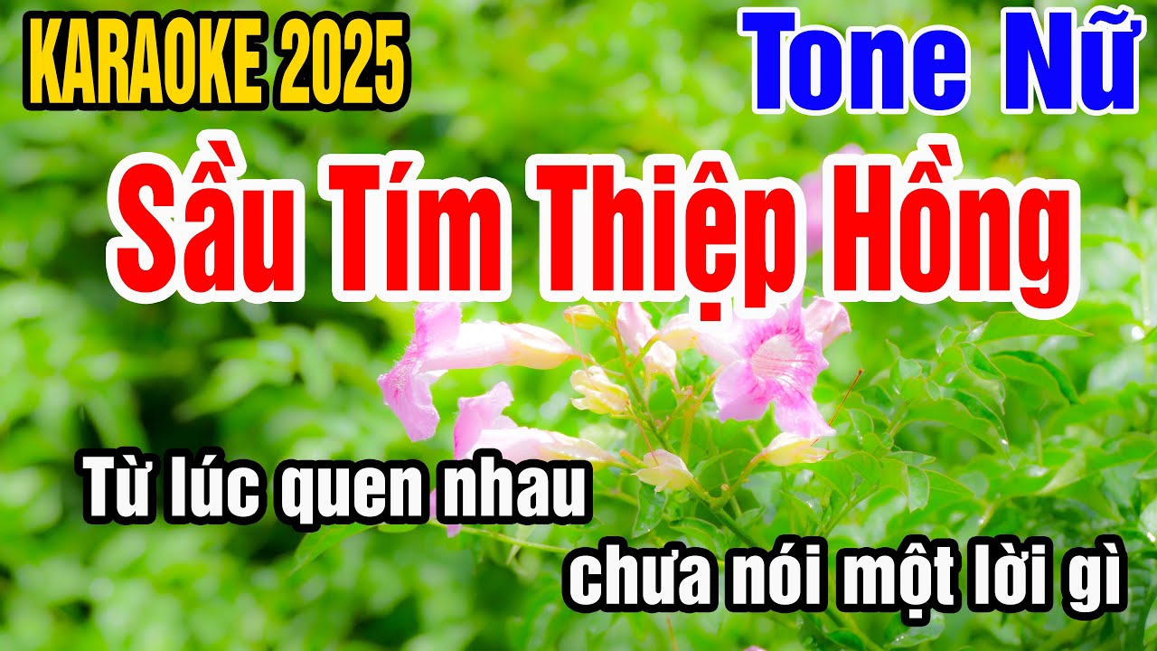 Karaoke Sầu Tím Thiệp Hồng Tone Nữ Nhạc Sống gia huy beat