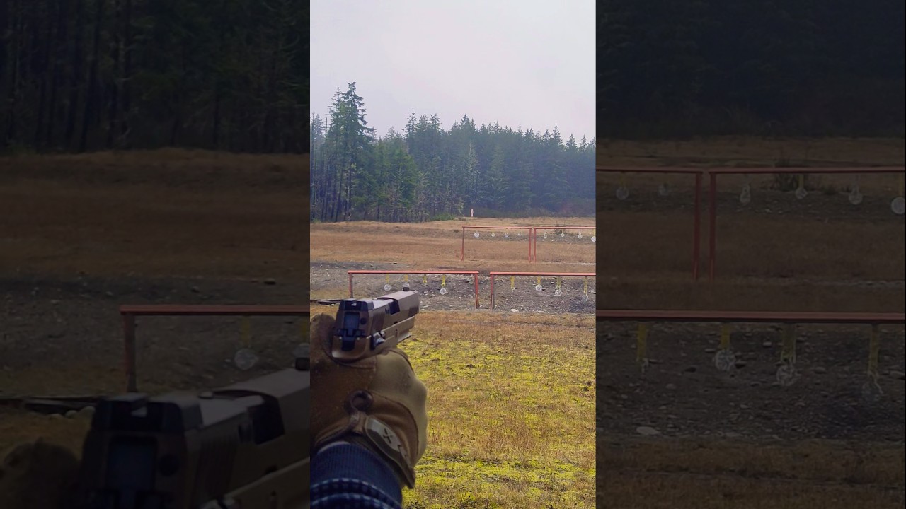 Sig Sauer M17 (Short3) 