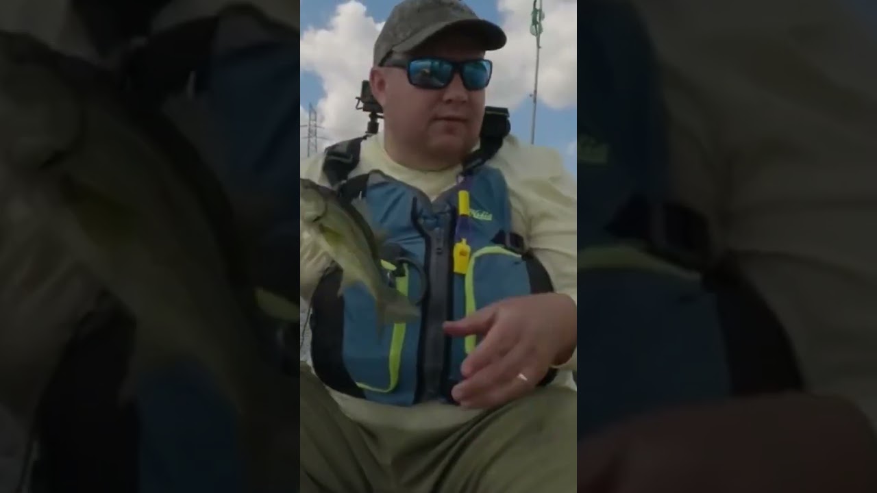 Я ловлю окуня нахлыстом, даже на самых маленьких рыбок (ловля большеротого окуня).