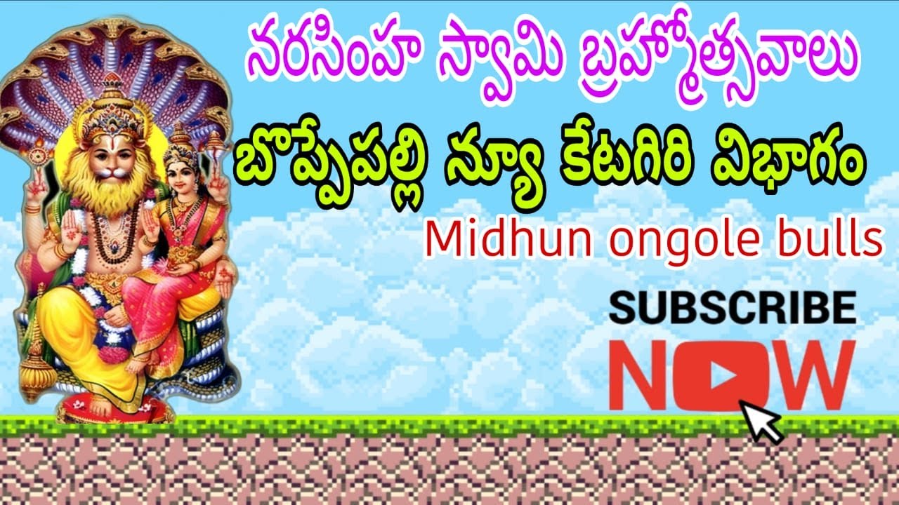 బొప్పేపల్లి న్యూ క్యాటగిరి విభాగం డ్రా లిస్ట్