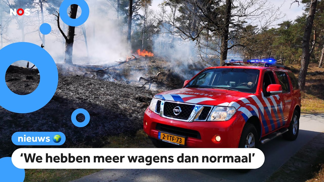Weinig regen en harde wind: Brandweer alert op natuurbranden