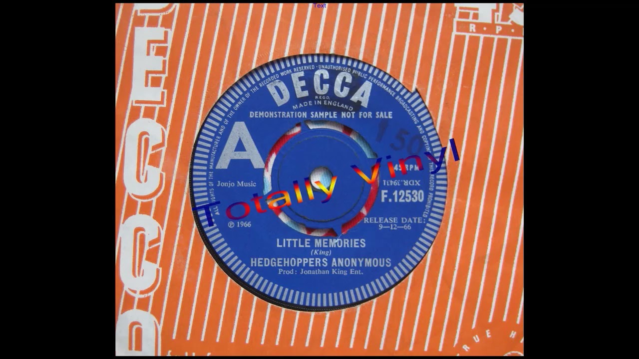 Little Memories - Hedgehoppers Anonymous