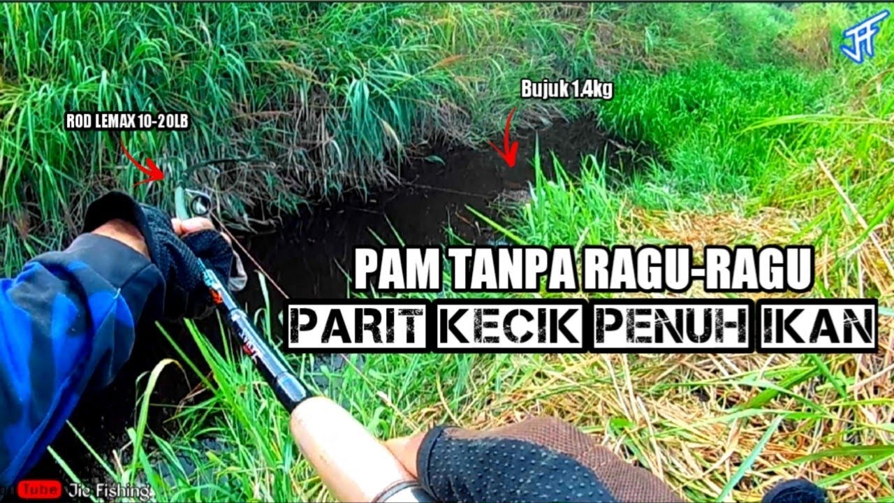 Memancing ikan bujuk / kihung - casting sebelum banjir \ Pam rod tanpa ragu ragu - lemax 10-20lb