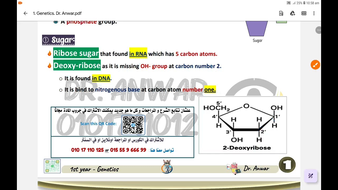 شرح اول بارت وراثة Part 1 Genetics Dr. Anwar