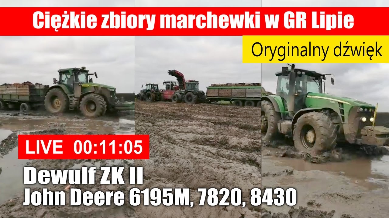 Ciężkie zbiory marchewki w GR Lipie. Dewulf, John Deere 6195M, 7820, 8430 - oryginalny dźwięk!