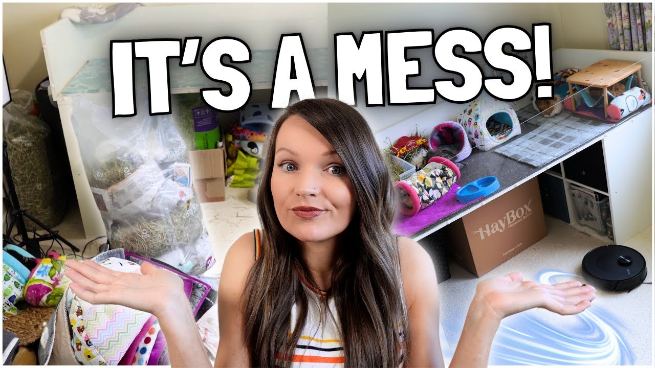 Best Tips for Keeping your Guinea Pig's Space Clean!