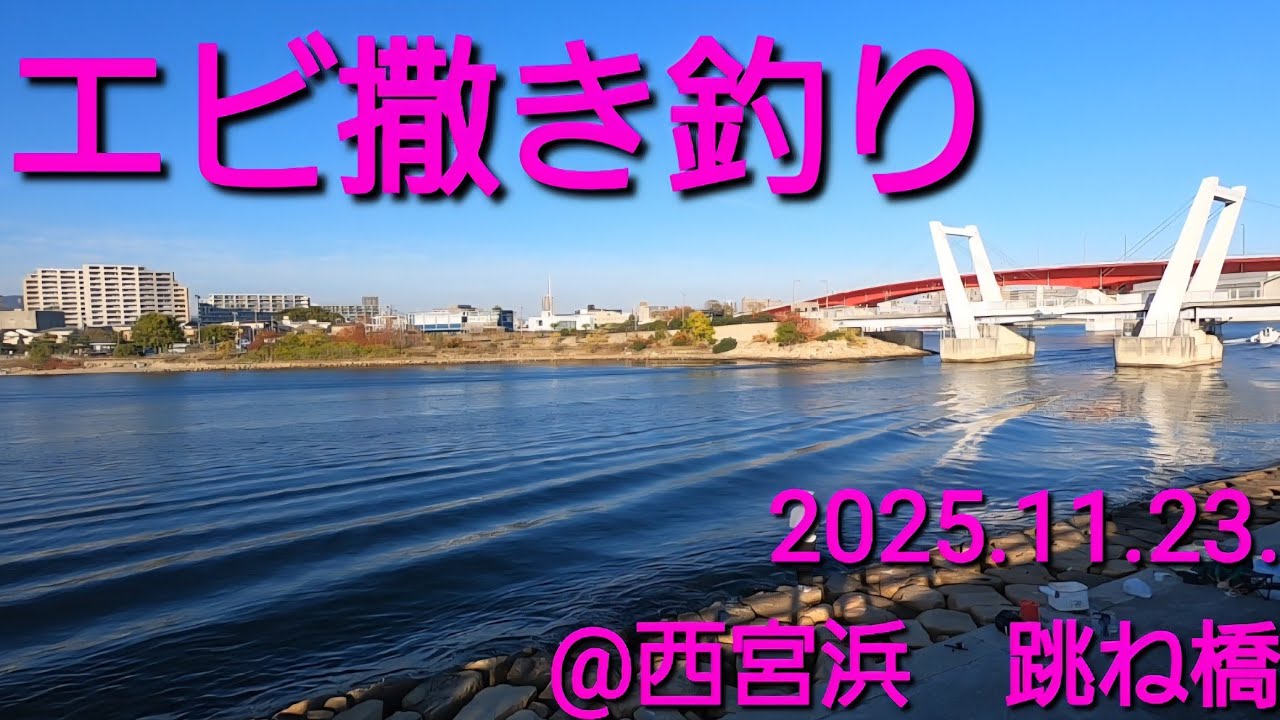 2025.11.23.　妖しく　エビ撒き釣り再開！@西宮浜　跳ね橋
