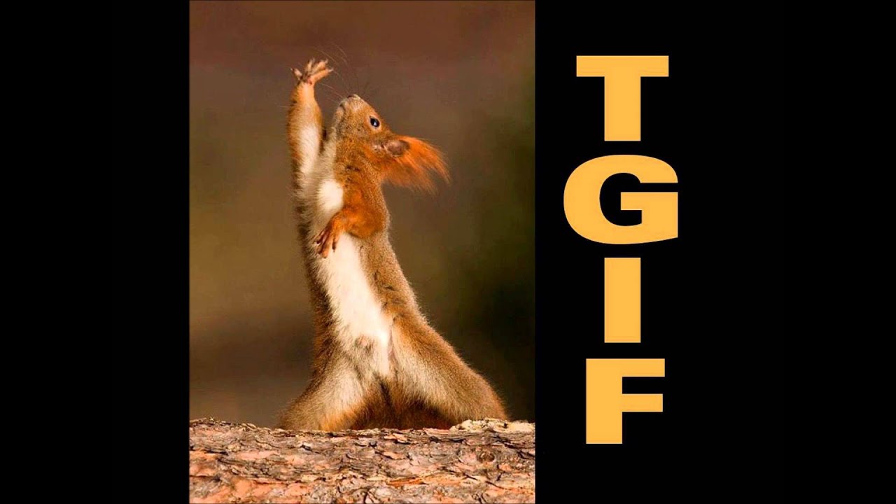 Dark Work Records-- Insane - Subliminal Gangsta