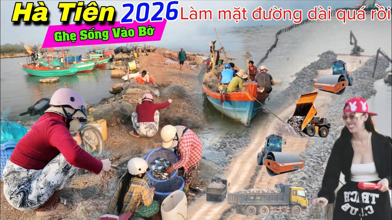 Hà Tiên tết 2026 ghẹ sống vào bờ bất ngờ xe lu cán mặt đường lần biển dài quá