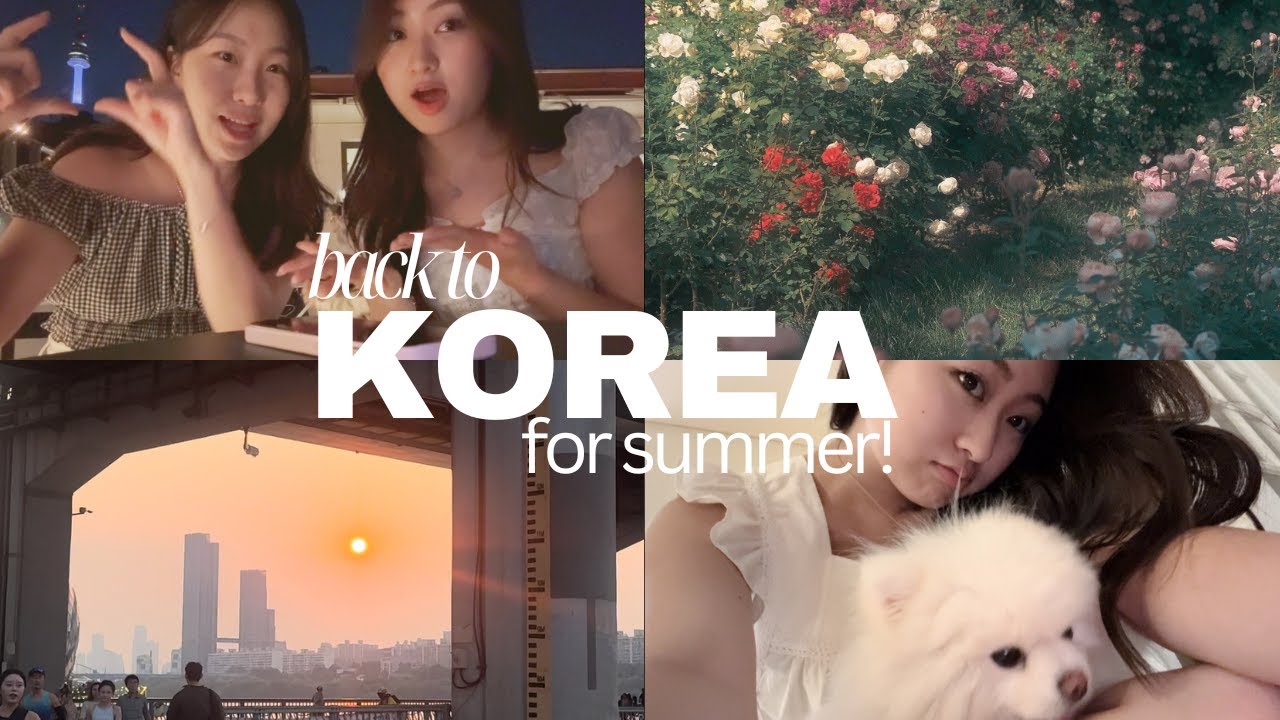 summer 2024 back in korea 🌞 🛋️
