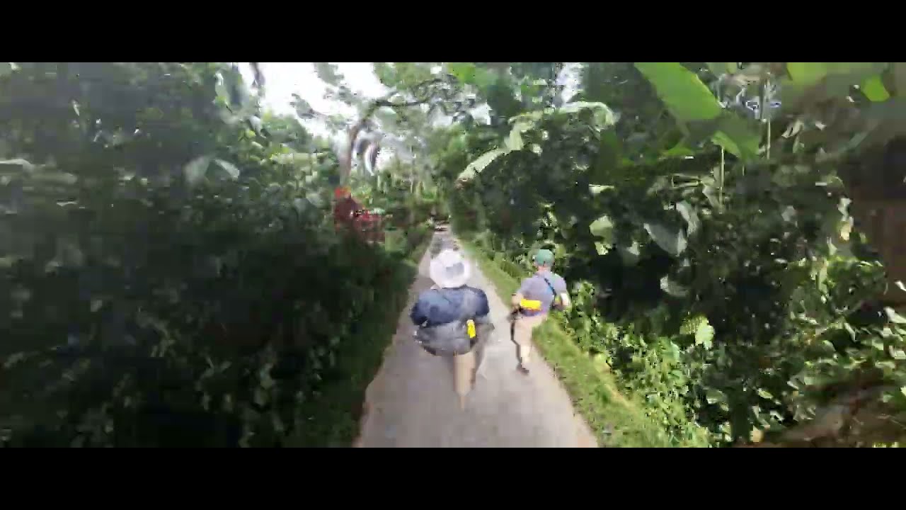 Walk in to Maquenque Eco Lodge in Boca Tapada, Costa Rica Timelapse
