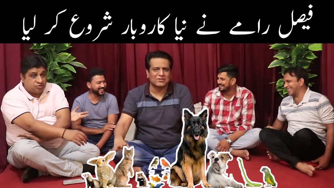 Tea Time Faisal Ramay Ne Shuru Kitta Nava Business | Sajjad Jani Official Team