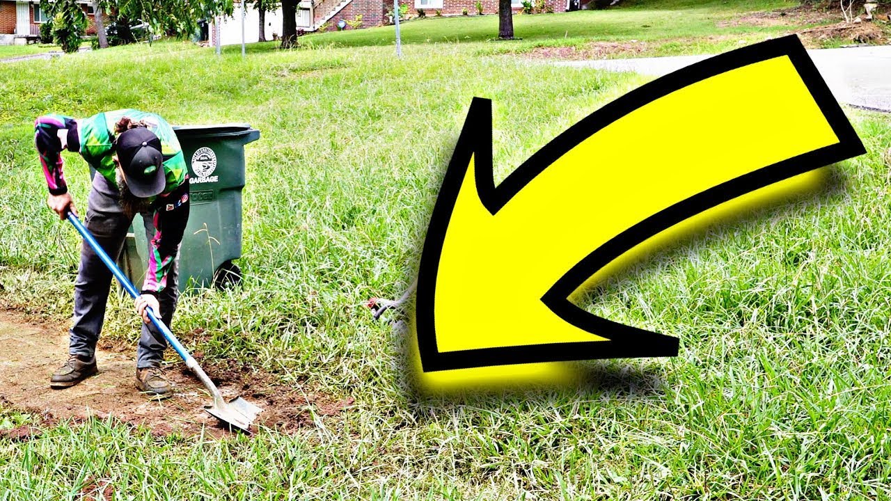 This Lawn Was Hiding Something NO ONE Knew About