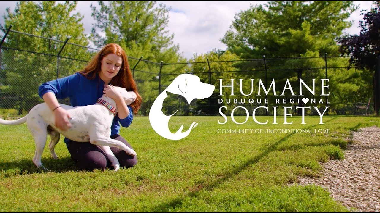 Stories that Inspire: Dubuque Regional Humane Society