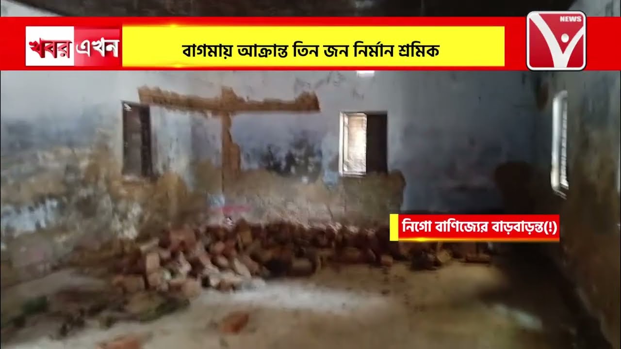 নিগো বাণিজ্যের কারবারীদের বাড়বাড়ন্ত, বাগমায় আ*ক্রান্ত তিন জন নির্মান শ্রমিক!
