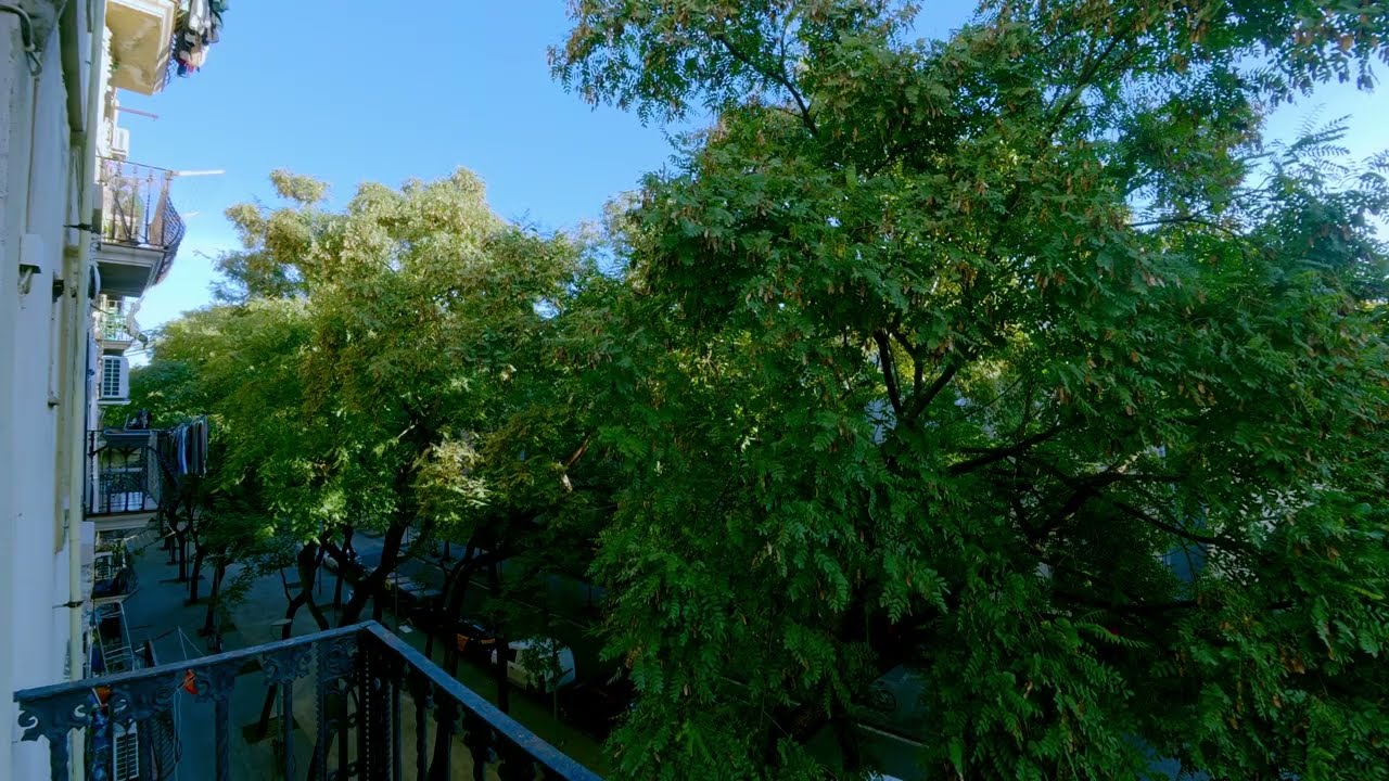 Barcelona Balcony ASMR: Early Morning Birds & City Awakening in Barceloneta | Relaxing Ambience