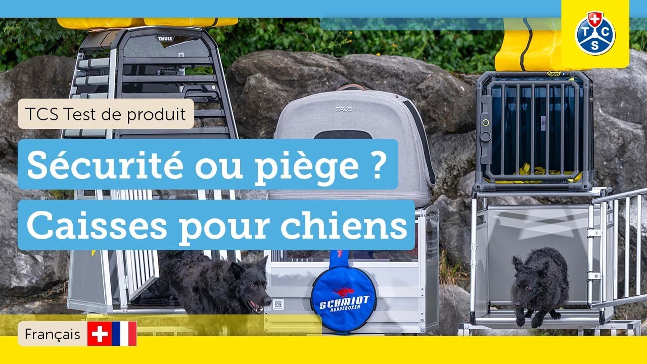 DANGER DE MORT pour les chiens ? 🚨 Test de 9 caisses avec CRASH-TEST ! | TCS Test 2025