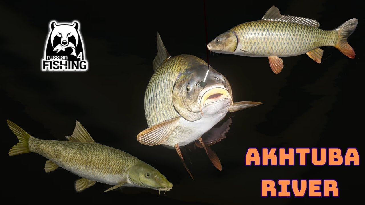 Russian Fishing 4 Aral Barbel & Wild Carp Akhtuba River (142) rf4 spot #mjplay