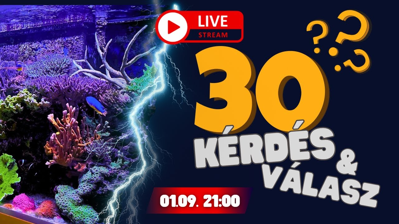 Ezt a 30 hibát NE KÖVESD EL! – Tengeri akváriumos kérdezz-felelek (ÉLŐ)