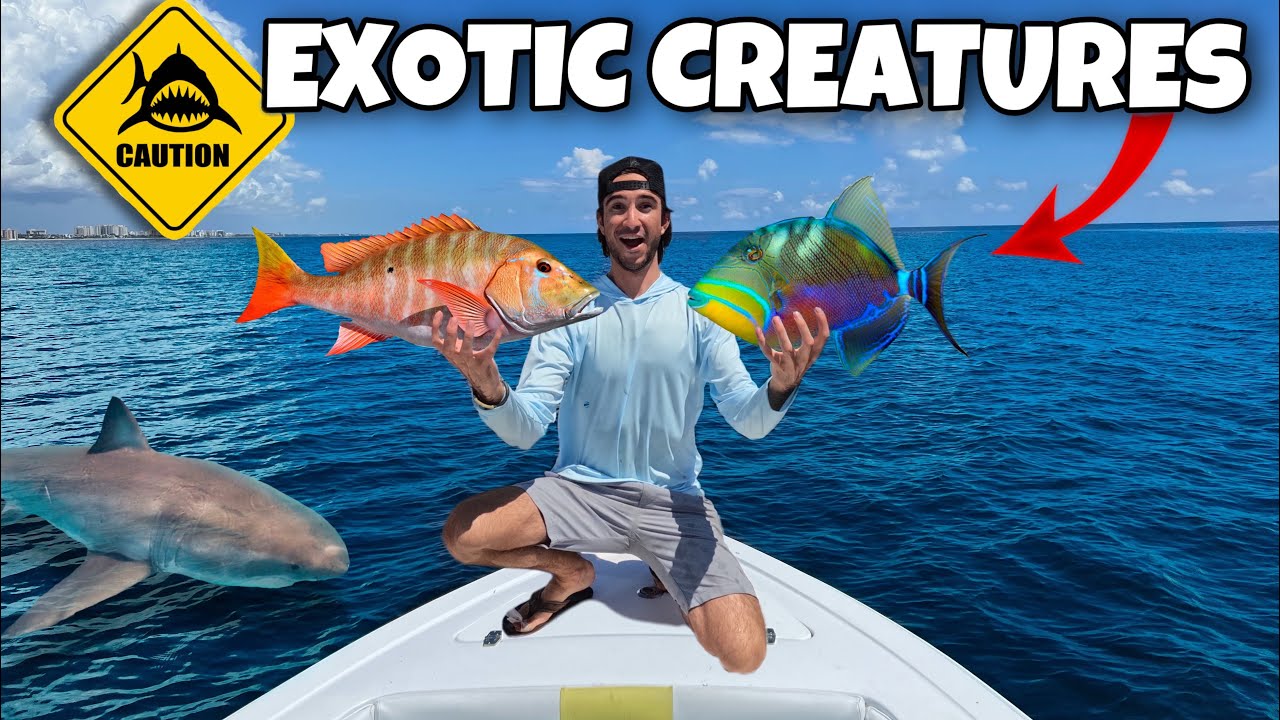 Catching DEEP SEA CREATURES In Fish Filled Area!! *fish eating octopus*