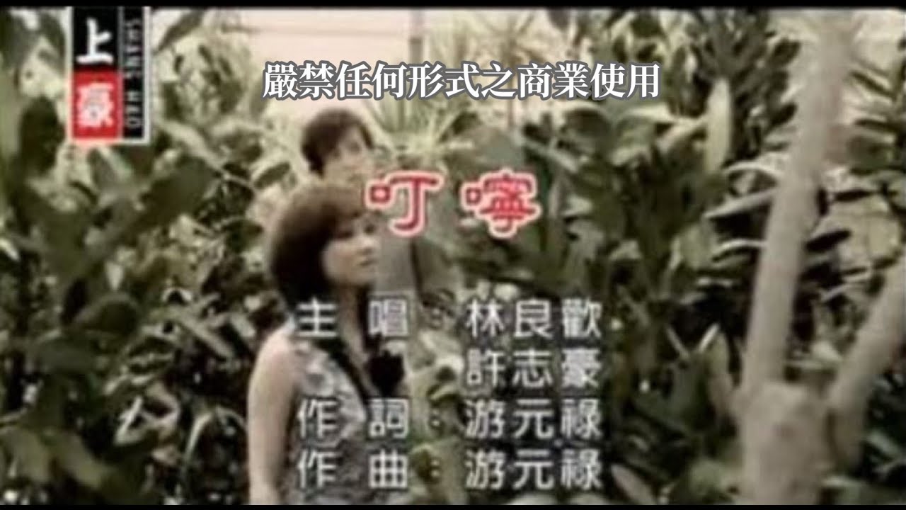 林良歡VS許志豪-叮嚀(官方KTV版)