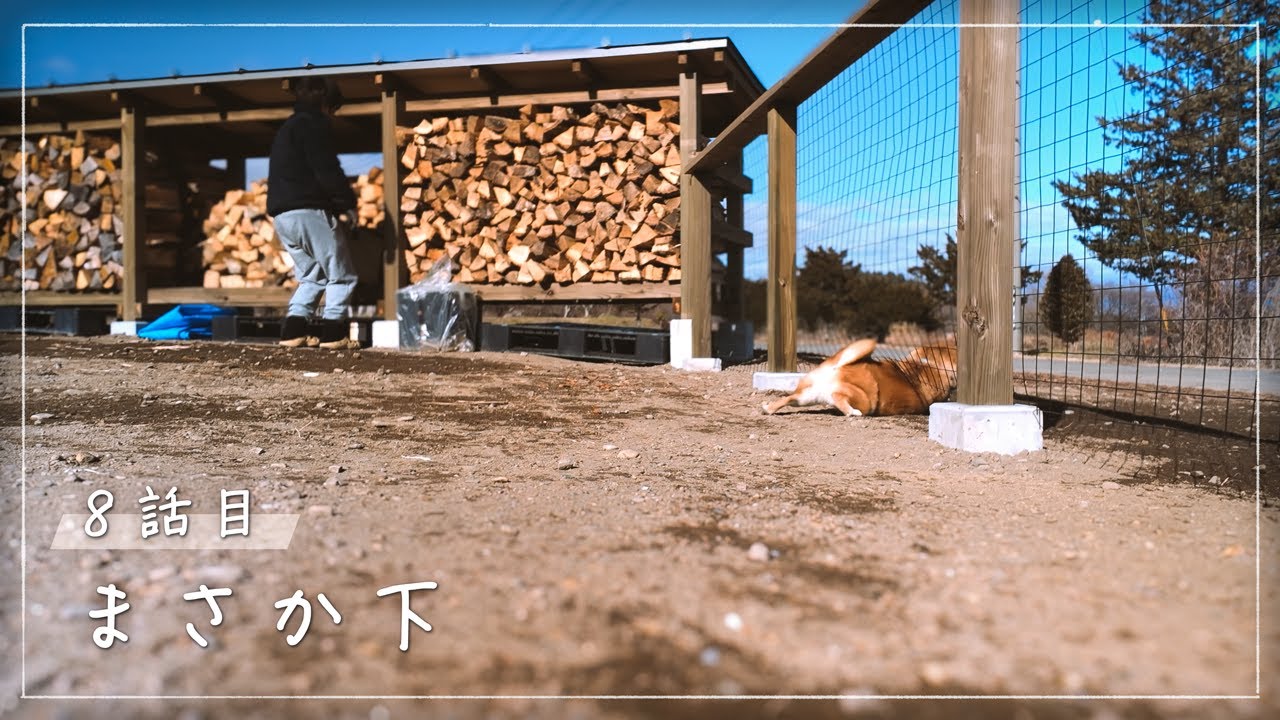 【即脱走】八ヶ岳、柴犬と暮らす家に作った３０坪のドッグラン