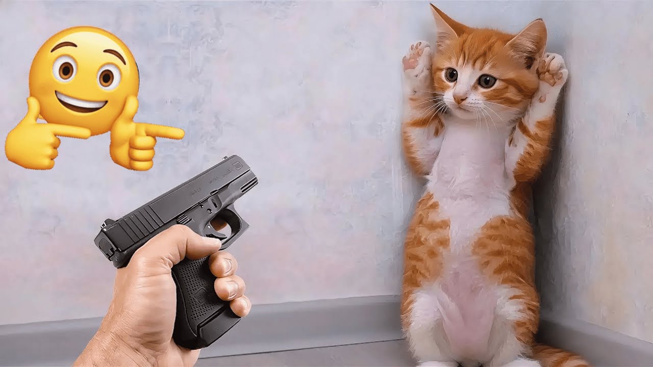 You Laugh You Lose 😹 Funniest Cats and Dogs 2026 🐈💝