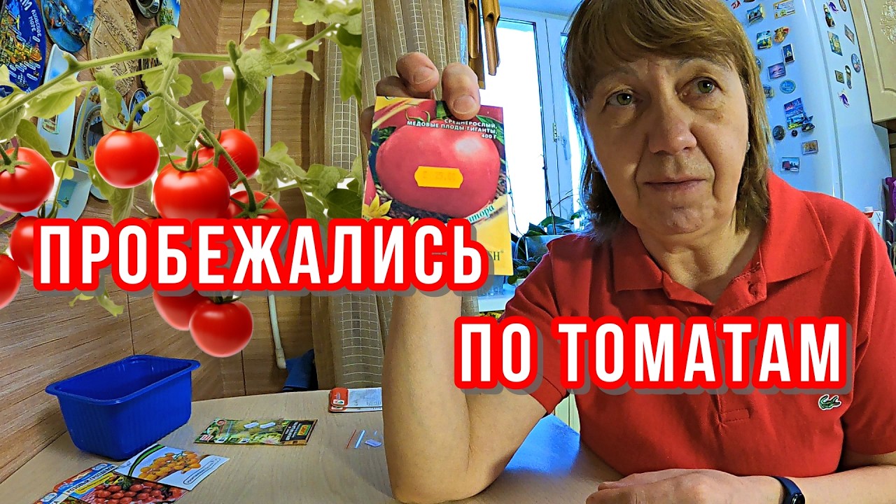 ПРОБЕЖАЛИСЬ ПО ТОМАТАМ