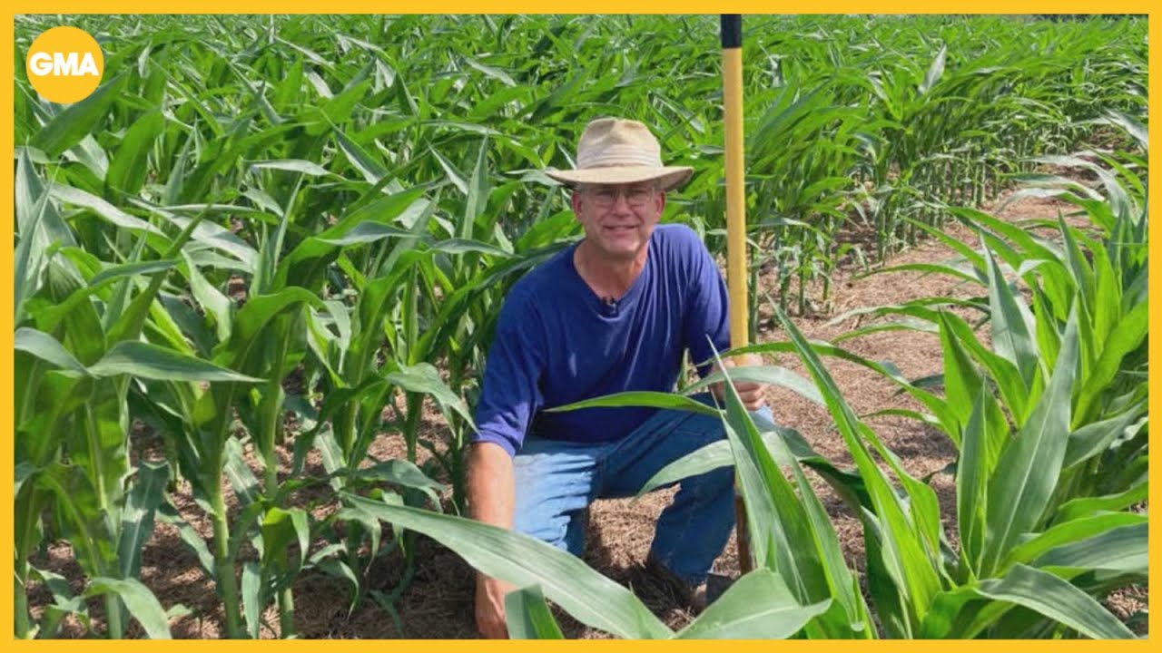 Argentina bailout sparks concern among US farmers