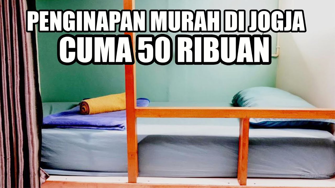 SLEEPY RACCOON HOSTEL JOGJA CUMA 50 RIBUAN, PENGINAPAN MURAH DI JOGJA DEKAT MALIOBORO & PRAWIROTAMAN
