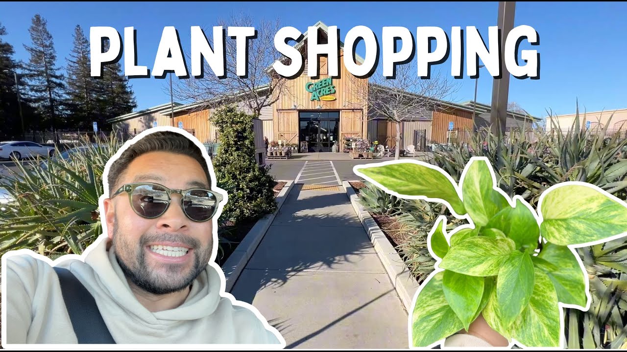 First time going plant shopping in 2025 + my favorite Sacramento nursery
