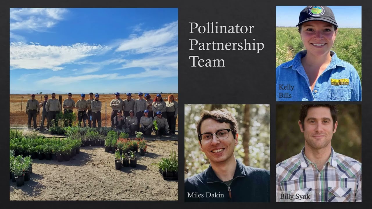 California Department of Food and Agriculture Pollinator Habitat Program Awardees Highlights